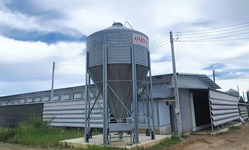 Расширение возможностей разумного разведения! Маленький Гигант Успешно завершил обучение по экологическому контролю для таиландского проекта "Слой из 400 000 птиц"!&nbsp;