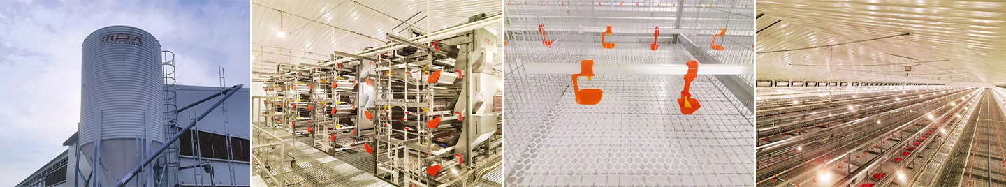 Первый этап проекта в Аньхое завершен! Little Giant помогает местным жителям внедрить новую интеллектуальную модель разведения!