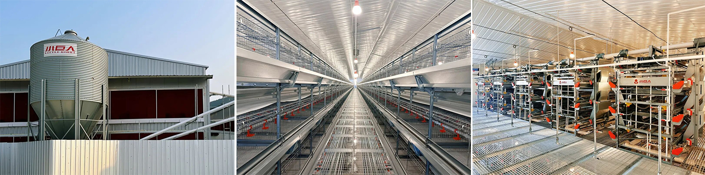 Оборудование для выращивания птицы уже на месте! Little Giant Помогает современной птицефабрике в провинции Цзянси, рассчитанной на 2 миллиона голов, выйти на новый уровень развития