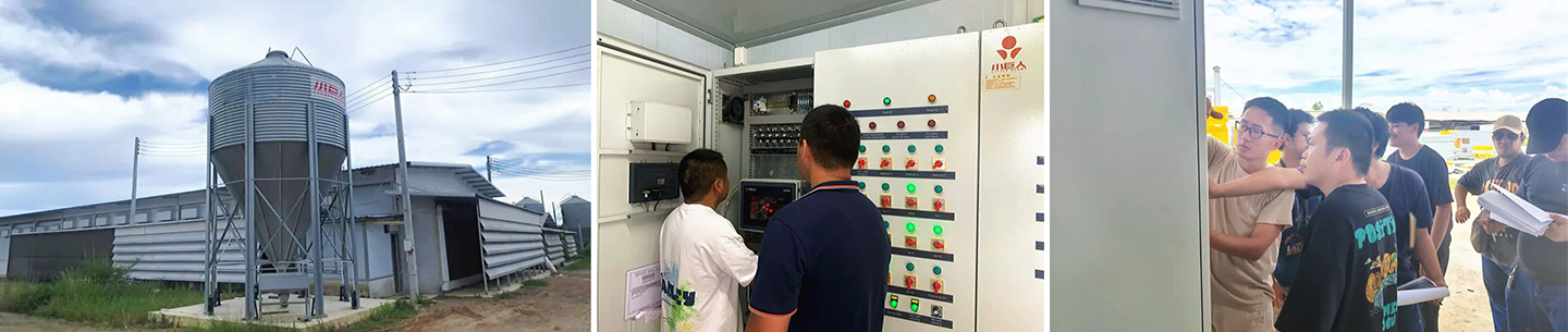 Расширяя возможности интеллектуального разведения! Маленький Гигант Успешно завершил обучение по охране окружающей среды в рамках проекта по разведению 400 000 птиц в Таиланде! 