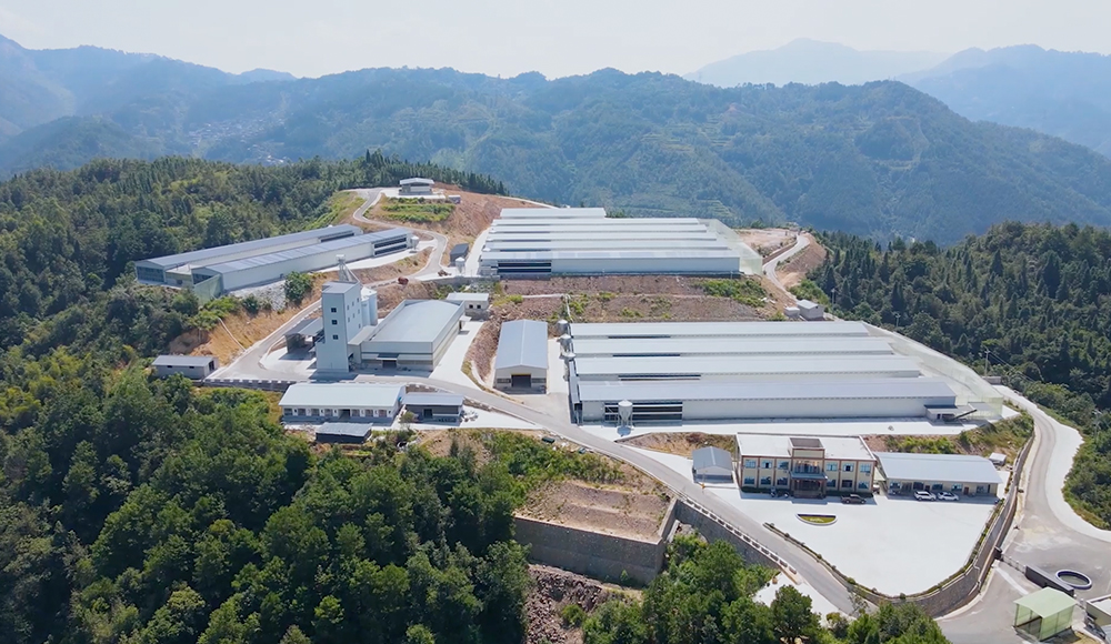 Проект "1 миллион несушек в Гуйчжоу"