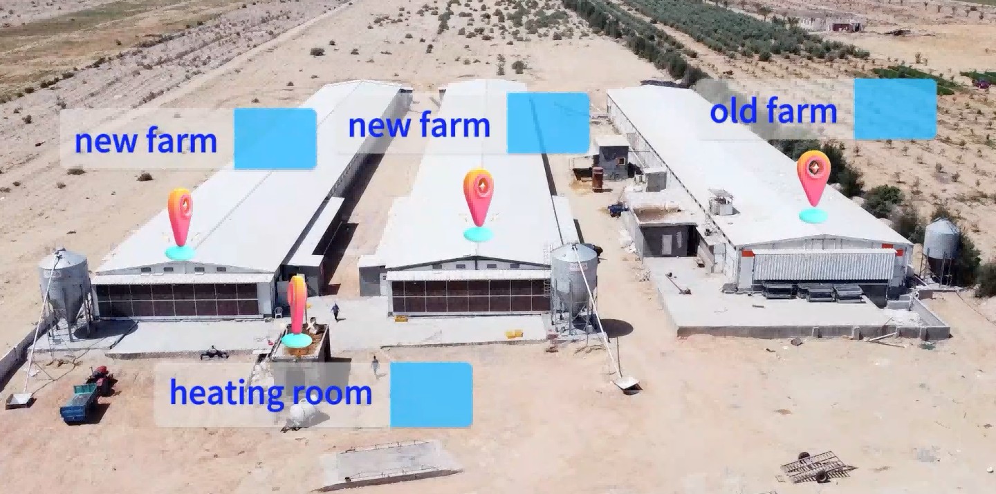 Проект создания современной фермы по выращиванию бройлеров в Египте