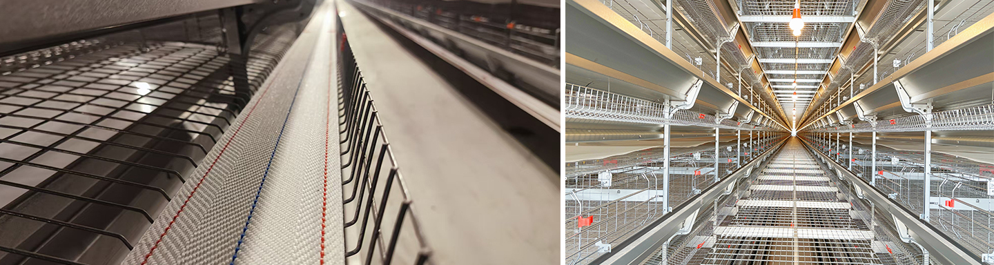 Проект современной яичной фермы в Цзяцзяне на 2 миллиона слоев