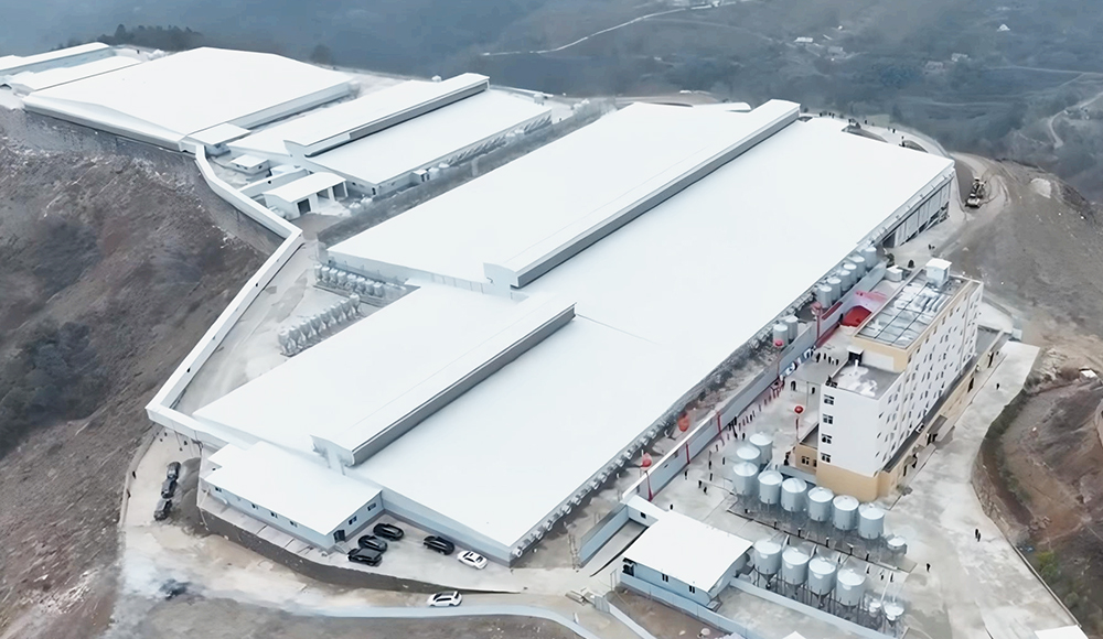 Проект племенной свинофермы в Аньканге