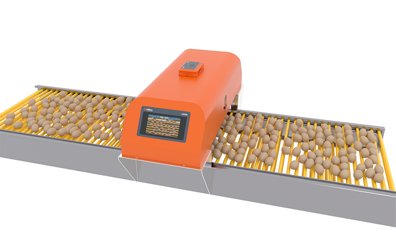 Интеллектуальный счетчик яиц