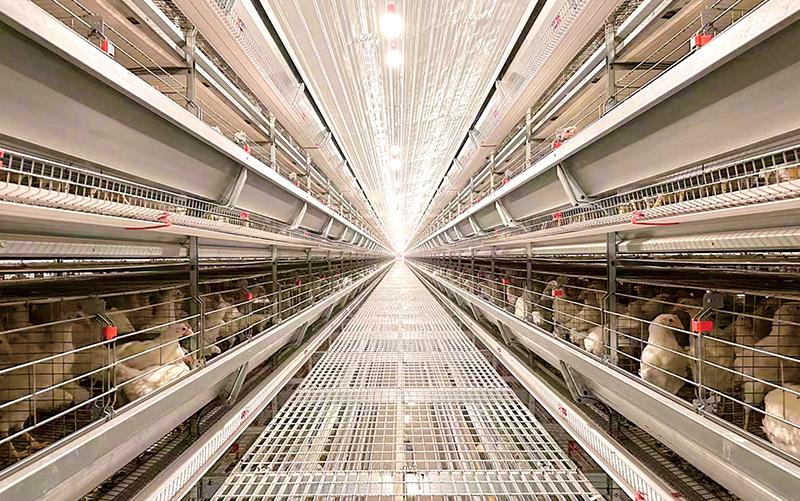 Передвижная система подачи 