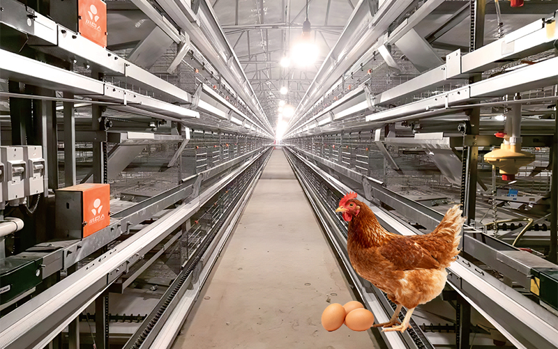 Многоуровневая автоматизированная система ярусных клеток BL625