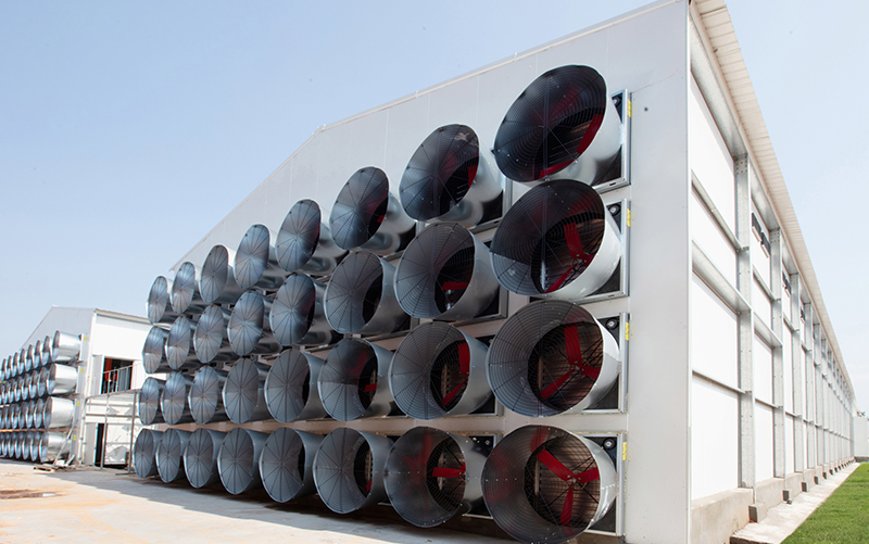 Высокое отрицательное давление, Энергосберегающий ветроулавливающий цилиндрический вентилятор