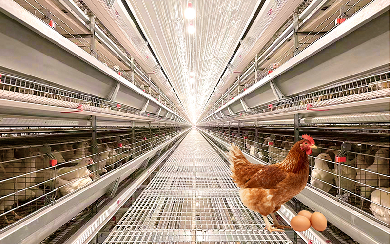 Автоматизированная система ярусных клеток серии BL500