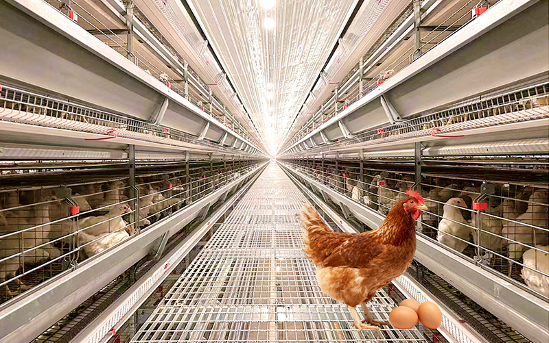 Автоматизированная система многослойных сепараторов серии L785