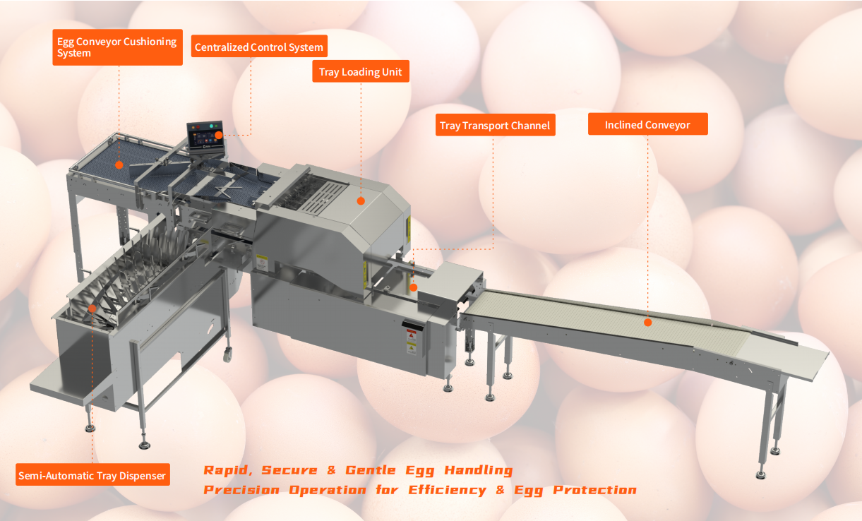Автоматическая система упаковки яиц в лотки серии BFP
