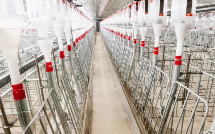 Животноводство