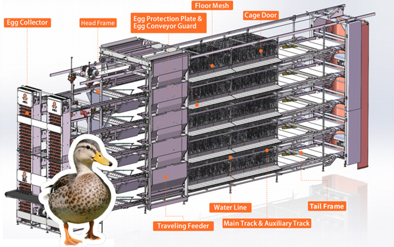 Многоуровневая автоматизированная система выращивания ярусных уток - YL550