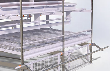 Окунь / Насест-насестница