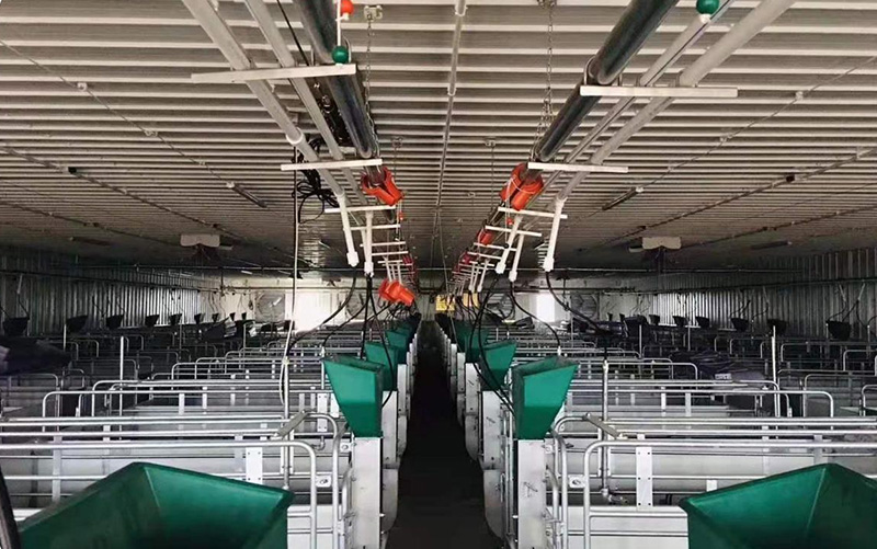 Ящик для опороса американских свиноматок