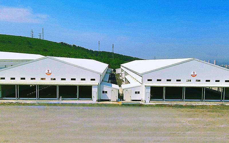 Проект 6-рядного 4-ярусного бройлера