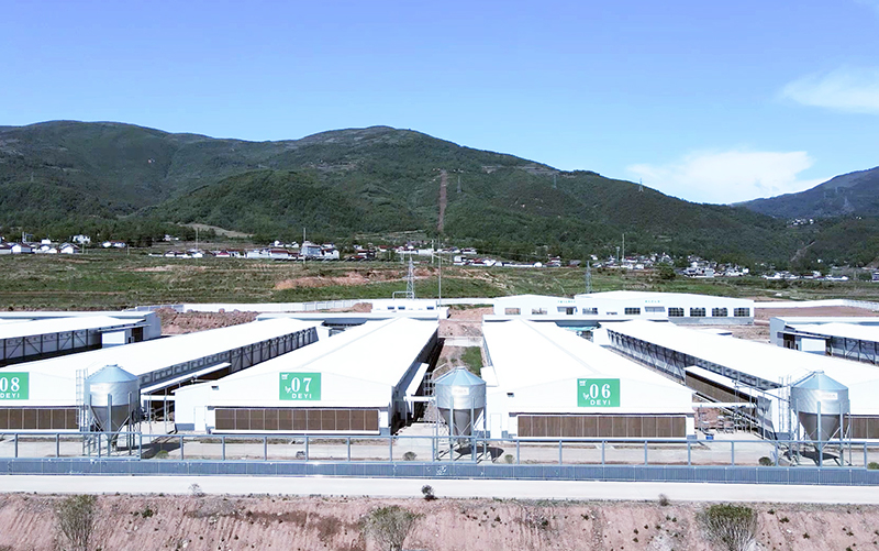 Yuexi 3-миллионный 5-рядный 4-уровневый проект