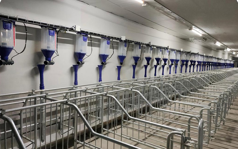 Позиционная планка в европейском французском стиле