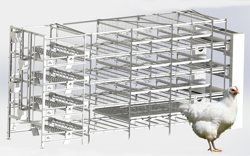 Автоматическая клетка для уборки цыплят-бройлеров