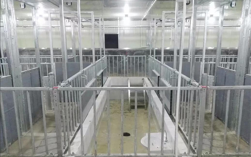 Загон для откорма