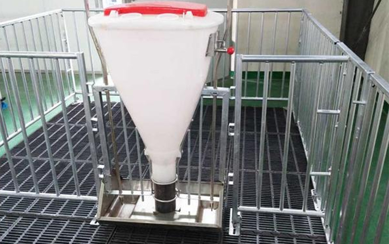 Загон для откорма