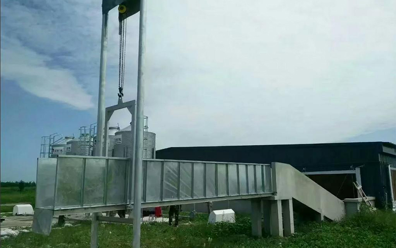 Подвесной мост через дорогу для свиней