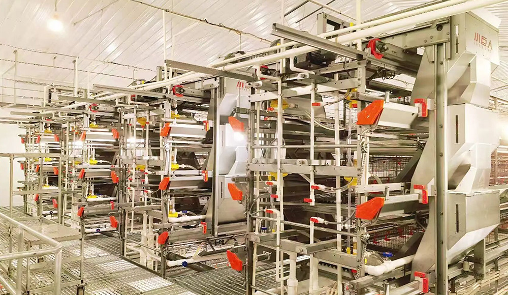 Первая фаза проекта в провинции Аньхой успешно завершена! Маленький гигант расширяет возможности мес