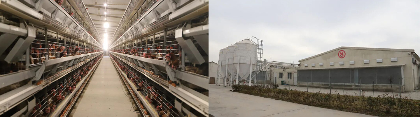 Little Giant представляет еще один проект премиум-класса, реализованный в провинции Фуцзянь