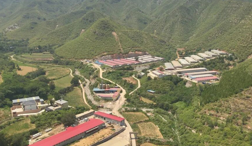 Демонстрация проекта по созданию клетки для содержания кур-несушек в Хэбэе в 2024 году