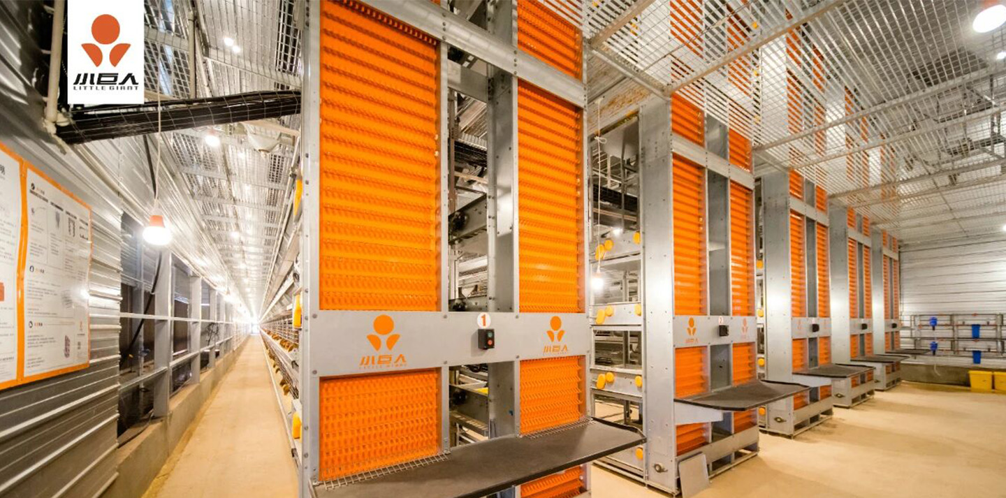 Маленький гигант | Еще один проект премиум-класса, реализованный в Цзянсу