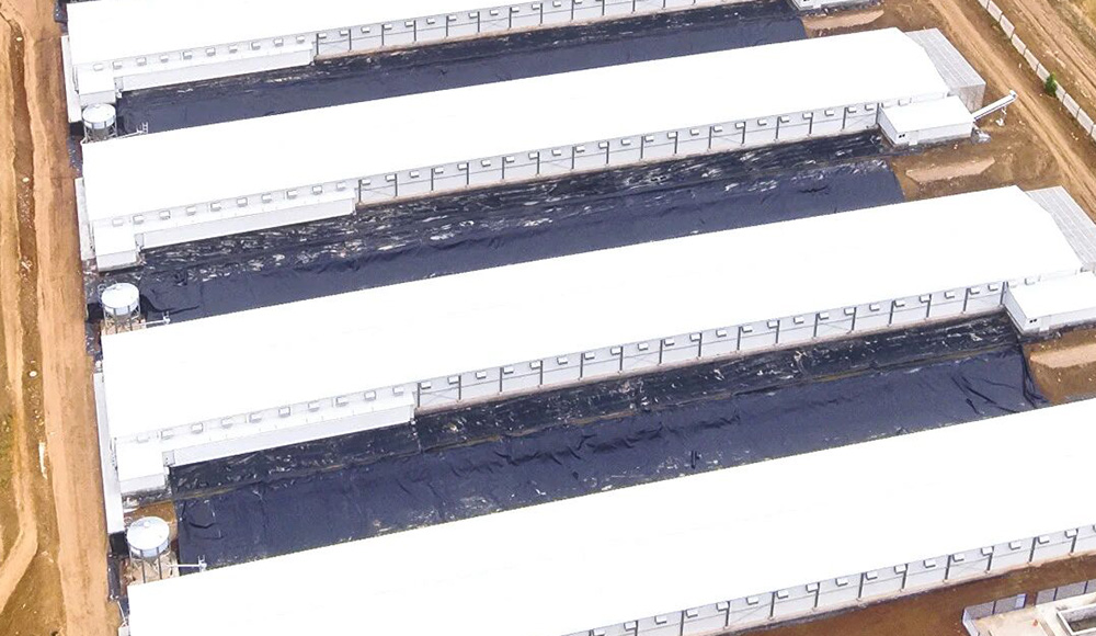 8 курятников из стальных конструкций Полностью завершены! Убедитесь в прочности "С точностью до милл