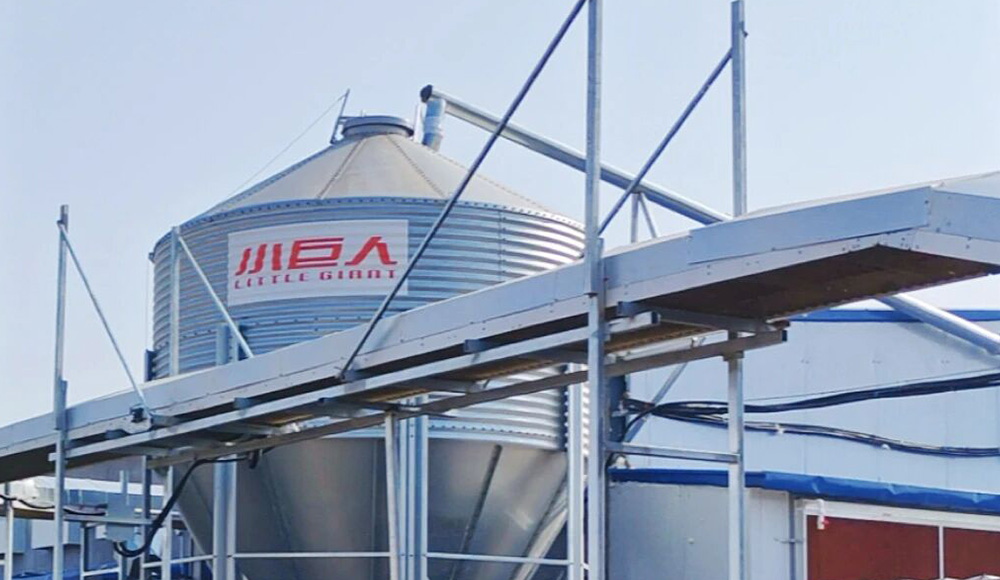 Сданы еще 2 дома!Общий объем поставок Little Giant в Хезе превысил 5 миллионов слоев