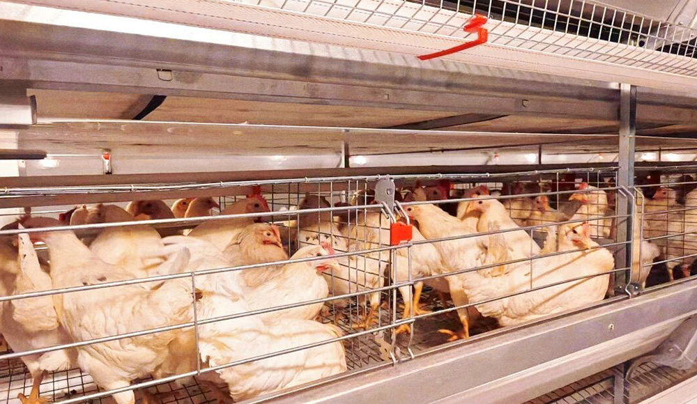 Успешного завершения! Интеллектуальное оборудование Little Giant расширяет возможности современного