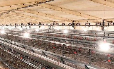 Повторите заказ! 13 магазинов оборудования доказывают неизменное доверие клиентов к Little Giant