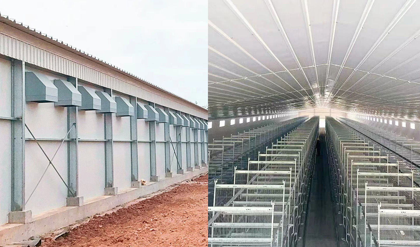 8 курятников из стальных конструкций Полностью завершены! Посмотрите на 