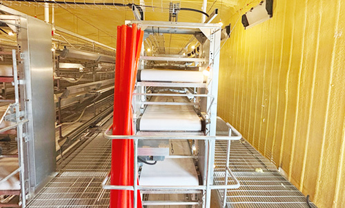 Новый прогресс! Документальный фильм о втором этапе строительства птицеводческого комплекса Little Giant в Ляо