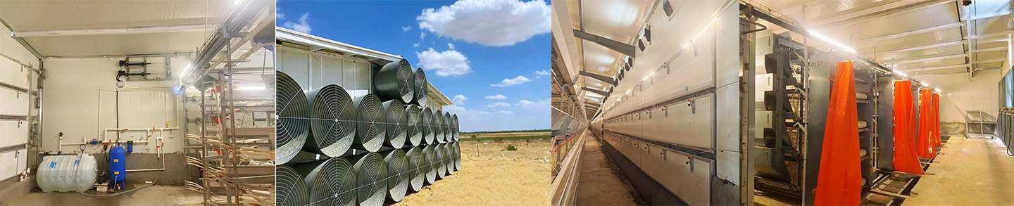 Новая модель китайско-египетского сотрудничества! Маленький гигант строит современный 