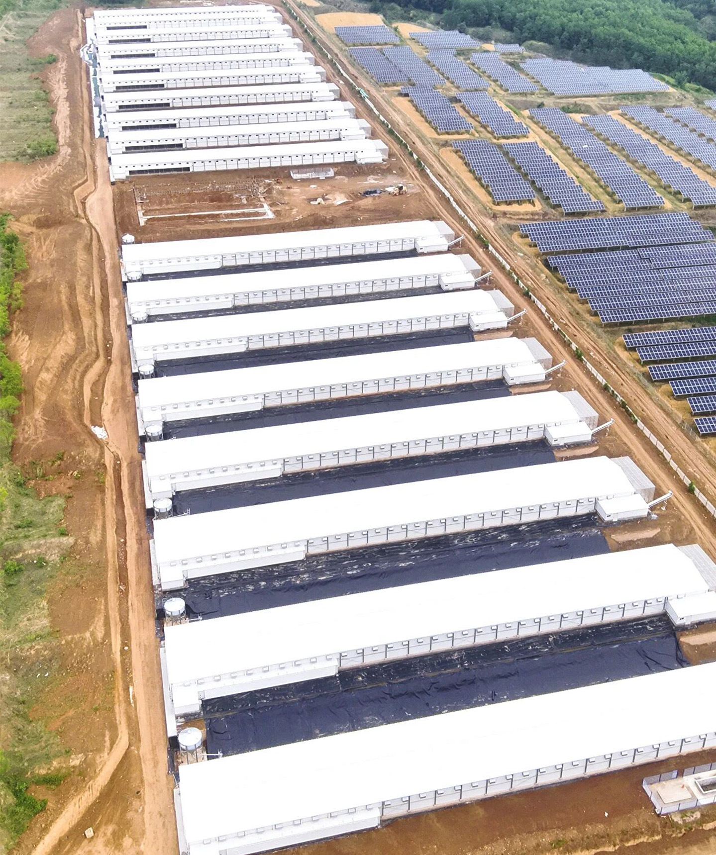 8 курятников из стальных конструкций Полностью завершены! Посмотрите на 