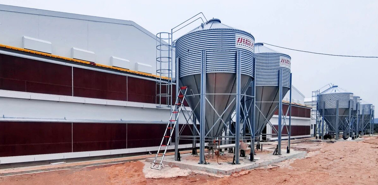 Стальная конструкция EPC завершена! Достигнута важная веха в строительстве животноводческого комплекса Jia