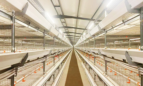 Новая модель китайско-египетского сотрудничества! Маленький гигант строит современный 