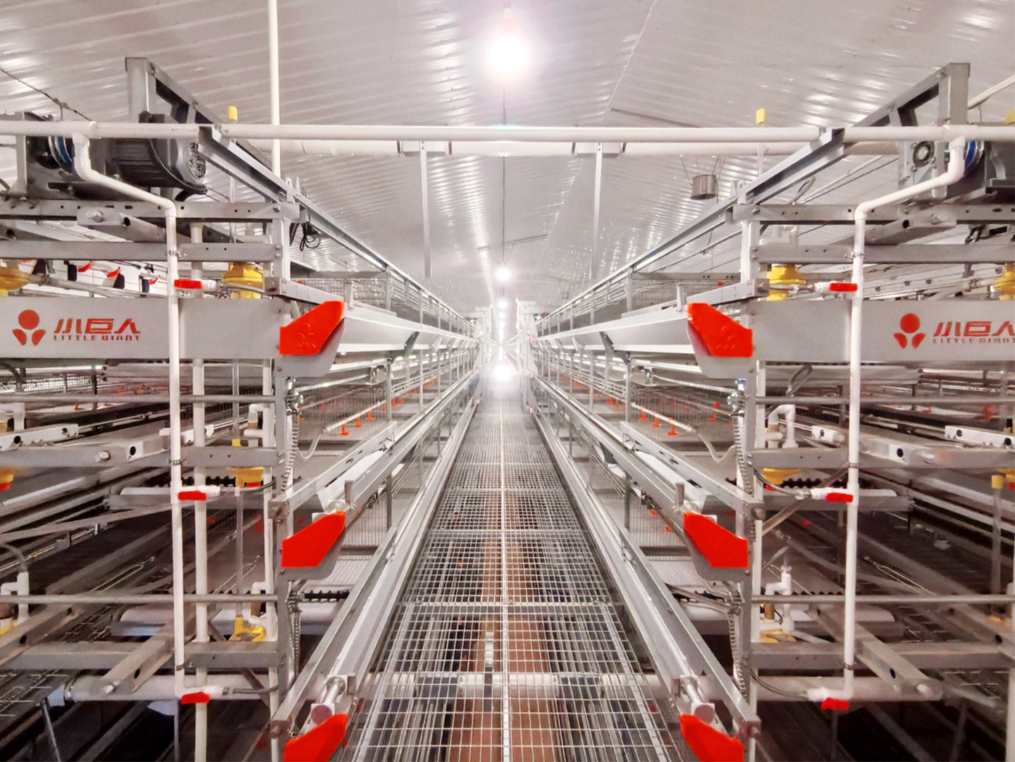 Стальная конструкция EPC завершена! Достигнута важная веха в строительстве животноводческого комплекса Jia