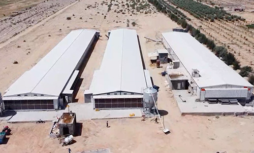 Новая модель китайско-египетского сотрудничества! Маленький гигант строит современный 