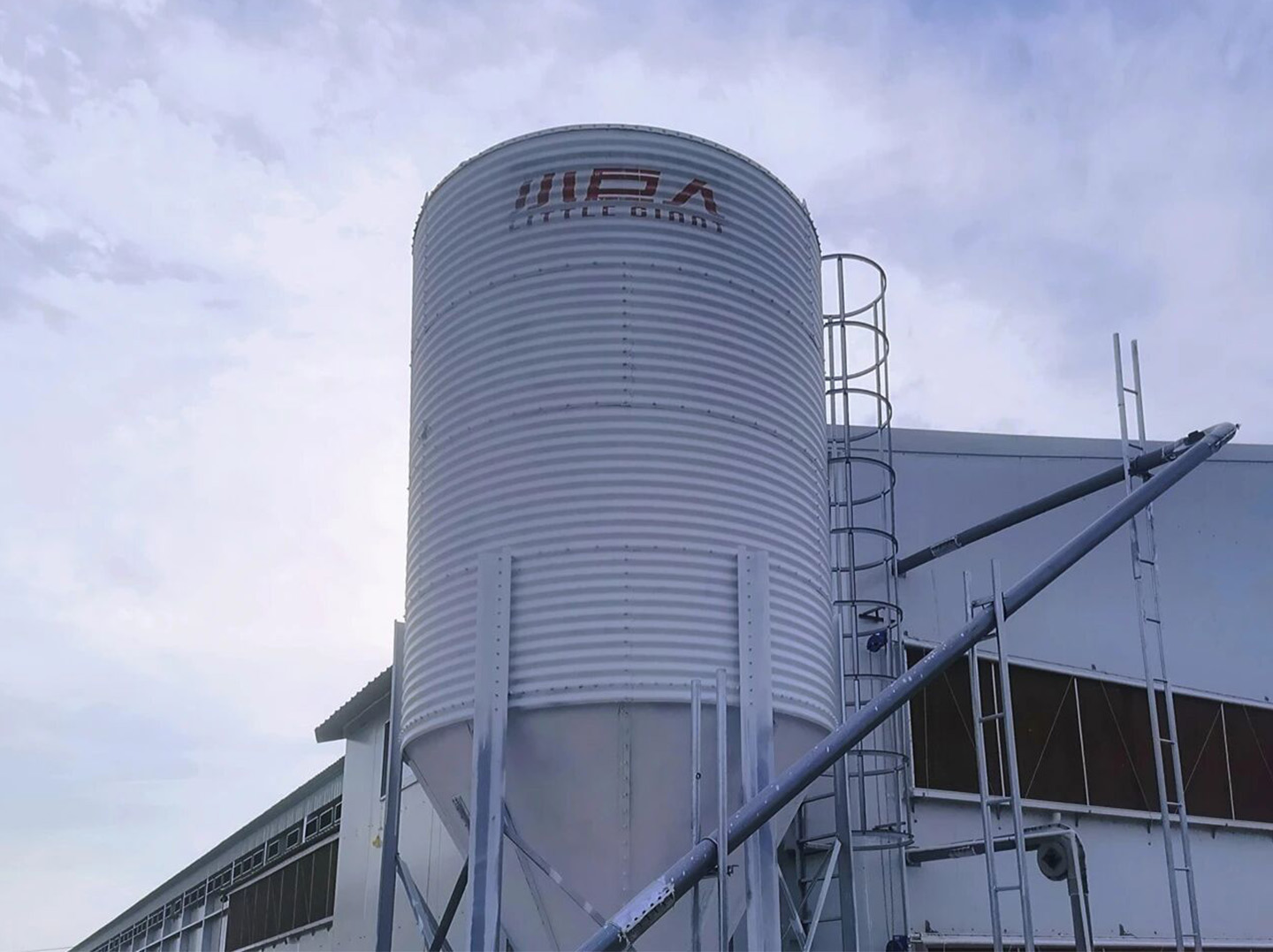 Первая фаза проекта в провинции Аньхой успешно завершена! Маленький гигант расширяет возможности местного умного животноводства.