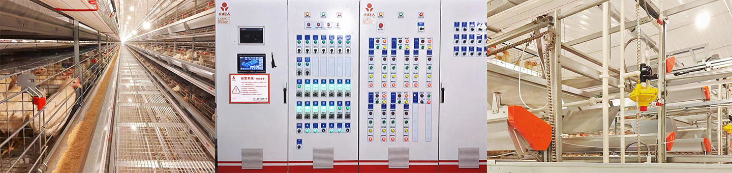 Успешного завершения! Интеллектуальное оборудование Little Giant расширяет возможности современного сельского хозяйства в Маченге, провинция Хуан