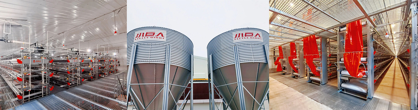 Стальная конструкция EPC завершена! Достигнута важная веха в строительстве животноводческого комплекса Jia