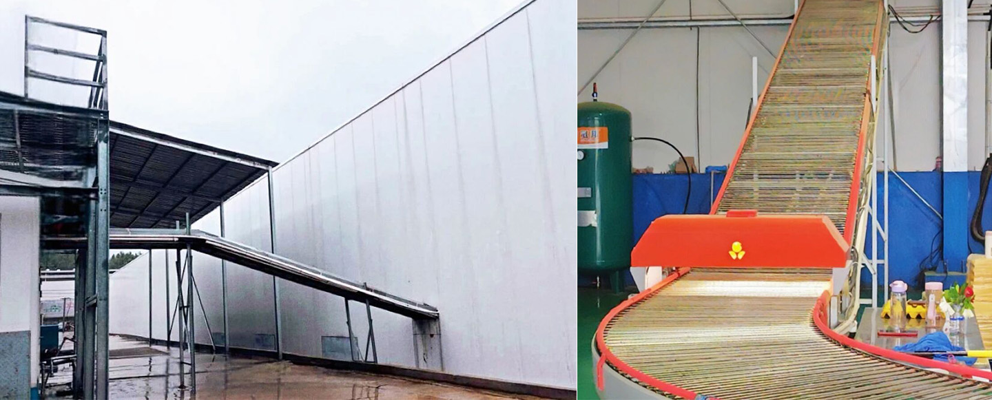 Успешного завершения! Интеллектуальное оборудование Little Giant расширяет возможности современного сельского хозяйства в Маченге, провинция Хуан