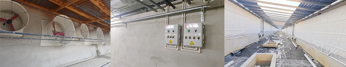 Современная свиноферма на 10 000 голов работает на полную мощность! Компания Little Giant помогает создать новый эталон для современного