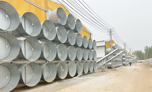 Новый прогресс! Документальный фильм о втором этапе строительства птицеводческого комплекса Little Giant в Ляо