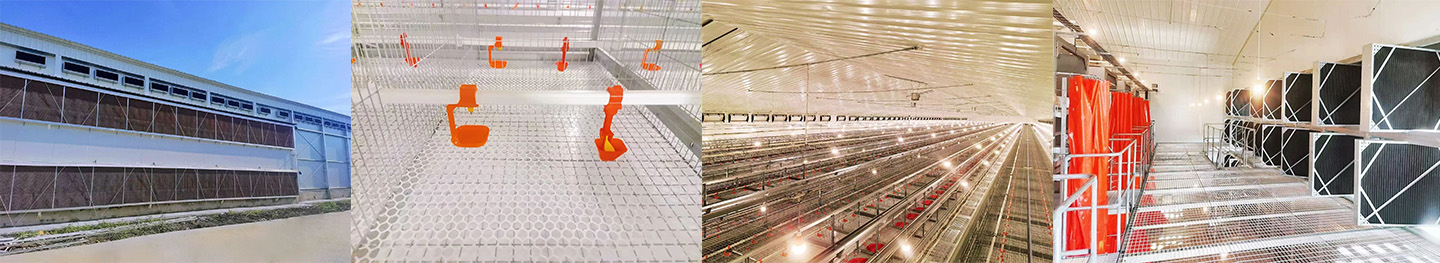 Первая фаза проекта в провинции Аньхой успешно завершена! Маленький гигант расширяет возможности местного умного животноводства.