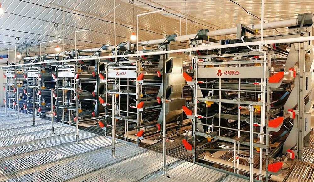 Установлено оборудование для содержания птиц!Маленький Гигант руководит строительством современного